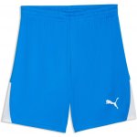 Puma TEAMLIGA 26 SHORTS Modrá,Bílá XL – Zboží Mobilmania