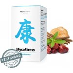 MycoStress MycoMedica TCM POINT 180 tablet – Hledejceny.cz