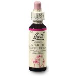Bachovy květové esence Snědek okoličnatý Star of Bethlehem 20 ml – Hledejceny.cz