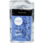 Health Link Bio Borůvkový prášek 80 g – Hledejceny.cz
