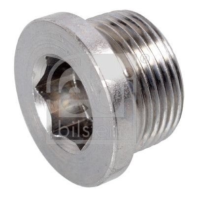 FEBI BILSTEIN 174170 závit motorové svíčky (174170) – Hledejceny.cz
