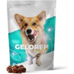 Geloren S-M kloubní výživa pro malé a střední psy 180 g 60 ks – Sleviste.cz