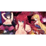 Sakami High School DxD Characters – Zboží Živě