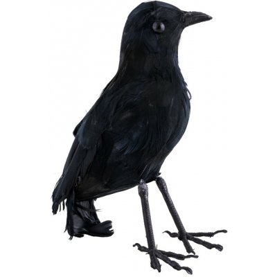 Černý havran dekorace 35cm – Hledejceny.cz