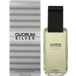Antonio Puig Quorum Silver toaletní voda pánská 100 ml – Hledejceny.cz