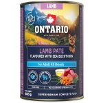 Ontario Adult jehněčí pate s příchutí rakytníku 400 g – Hledejceny.cz