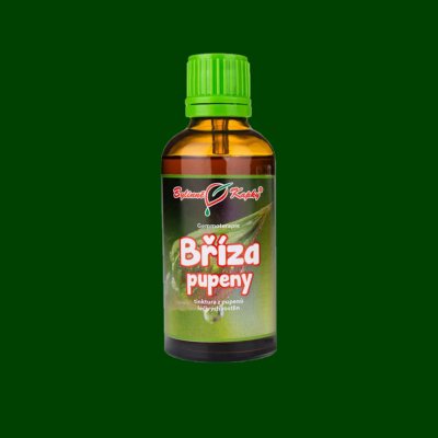 Bylinné kapky Bříza pupeny tinktura 50 ml – Hledejceny.cz