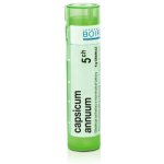 CAPSICUM ANNUUM POR 5CH GRA 1X4G – Hledejceny.cz