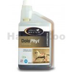 Horse Master DoloPhyt 0,9 l – Hledejceny.cz