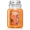 Svíčka Country Candle Golden Mums & Honeycrisp 652 g