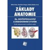 Kniha Základy anatomie 3b. Močopohlavní a endokrinní systém - Miloš Grim, Ondřej Naňka, Rastislav Druga