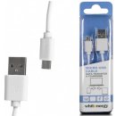 Whitenergy 09968 USB 2.0 MICRO, AM / B MICRO přenos dat/nabíjení, 30cm, bílý