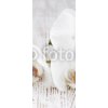 Tapety WEBLUX 63054309 Samolepka na lednici fólie Orchids spa Orchidejové lázně rozměry 80 x 200 cm