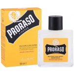 Proraso Wood & Spice balzám na vousy 100 ml – Hledejceny.cz