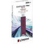 Kingston DataTraveler Max 256GB DTMAXA/256GB – Sleviste.cz