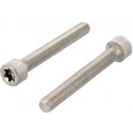 Nerezový šroub ISO 14579 A4 M 2,5X25 TX8 – Sleviste.cz