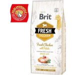 Brit Fresh Chicken with Potato Adult Great Life 12 kg – Zbozi.Blesk.cz