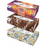 Linteo EKO papírové kapesníky krabička 2-vrstvé 100 ks – Zboží Dáma