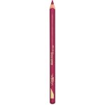 L'Oréal Paris Tužka na rty Color Riche Le Lipliner 127 Paris NY 1,2 g – Zboží Dáma