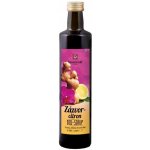 Sonnentor Zázvor citron sirup bio 500 g – Hledejceny.cz
