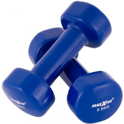 MAXXIVA Sada vinylových činek 2 x 2,5 kg – Zboží Mobilmania