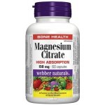 Webber Naturals Magnesium 150 mg 60 kapslí – Hledejceny.cz