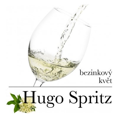 Hugo Bezinkový květ 1 l PET (stáčené včetně lahve) – Zboží Dáma