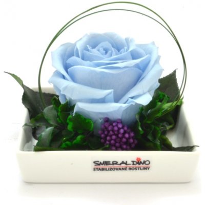 Dita Light blue - světle modrá (1x premium stabilizovaná "věčná" růže v ploché keramice)