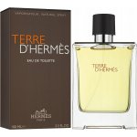 Hermès Terre D'Hermès toaletní voda pánská 100 ml – Hledejceny.cz