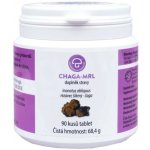 MRL Chaga rezavec šikmý 90 tablet – Hledejceny.cz