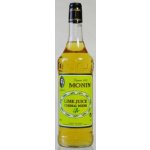 Monin Le Concentré Lime Juice Cordial Limetková šťáva 1 l – Zbozi.Blesk.cz