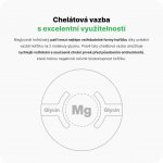 Vilgain Hořčík bisglycinát 90 kapslí – Zboží Dáma Vilgain Hořčík bisglycinát 90 kapslí – Zboží Dáma