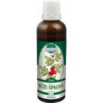 Naděje Habr tinktura z pupenů 50 ml – Hledejceny.cz