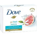 Dove Go Fresh Restore toaletní mýdlo 100 g – Hledejceny.cz