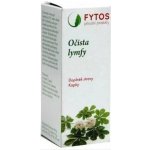 Fytos Očista lymfy 50 ml – Hledejceny.cz