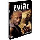 Zvíře DVD