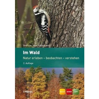 Im Wald