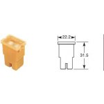 Pojistka kostka zásuvka 40A – Sleviste.cz