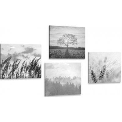 Set obrazů kouzlo černobílé krajiny - 4x 40x40 – Sleviste.cz