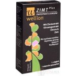 Wellion Zimt Plus 30 kapslí – Hledejceny.cz