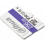 DAHUA 256GB TF-C100/256GB – Zboží Živě