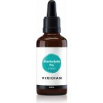 Viridian Sports Electrolyte Fix tekutý 100 ml – Hledejceny.cz