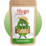 Hugo Žvýkačky Spearmint 45 g – Hledejceny.cz