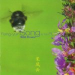 Feng-yűn Song Trio Puo - Wild Flower CD – Hledejceny.cz