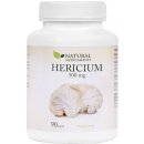 Natural Medicaments Hericium 500 mg 90 kapslí