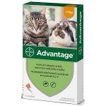 Advantage Spot-on pro malé kočky a králíky 40 mg 1 x 0,4 ml – HobbyKompas.cz