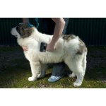 JK ANIMALS Kartáč samočistící jemné drátky 19 x 11 cm – Zboží Dáma