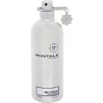 Montale Wild Pears parfémovaná voda unisex 100 ml – Hledejceny.cz