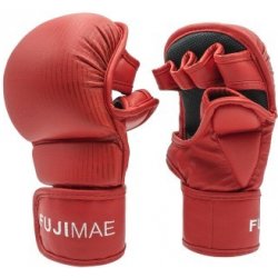 Fujimae MMA Sparring