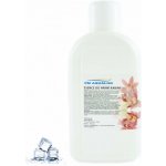 PM Aqualog esence do parních kabin blue ice 958-001/D 1 l – Hledejceny.cz